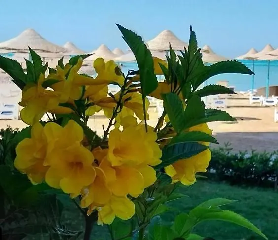 2 Bedroom In Prestige Plaza Hurghada